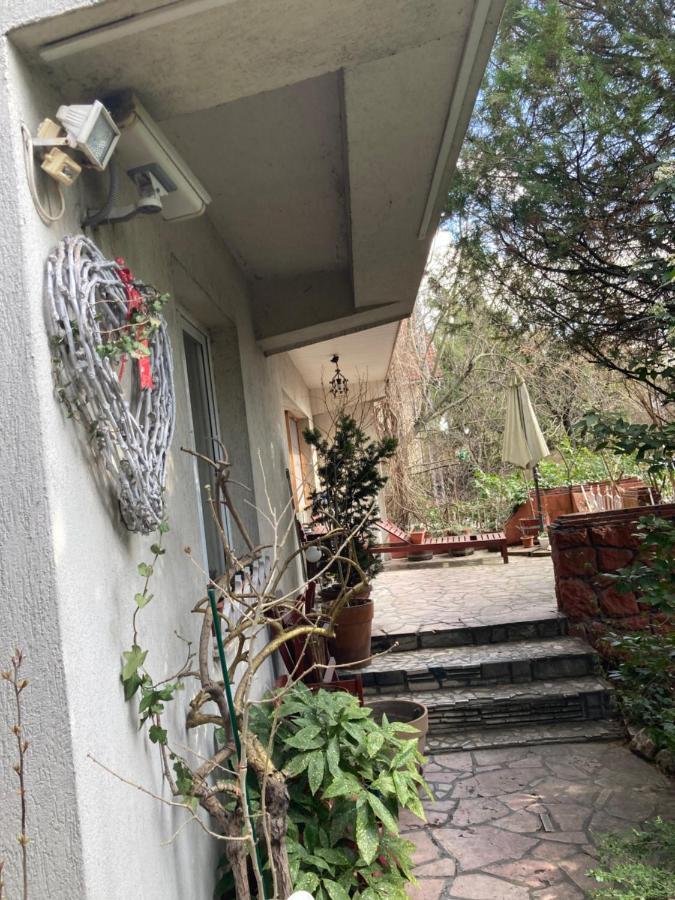 Donau Apartman,Tát Esterno foto