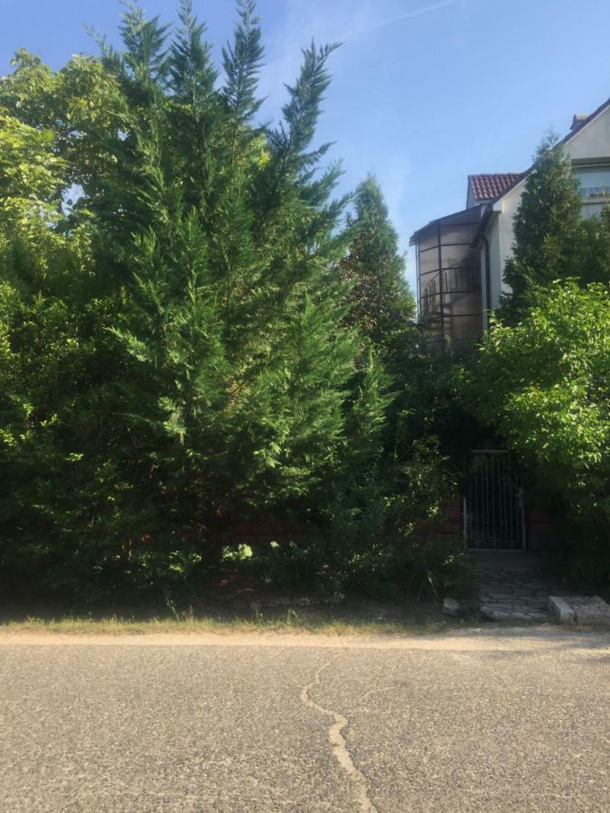 Donau Apartman,Tát Esterno foto
